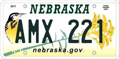 NE license plate AMX221