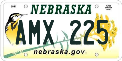 NE license plate AMX225