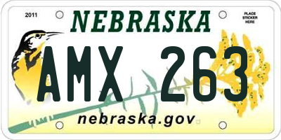 NE license plate AMX263