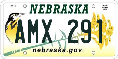 NE license plate AMX291