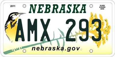 NE license plate AMX293