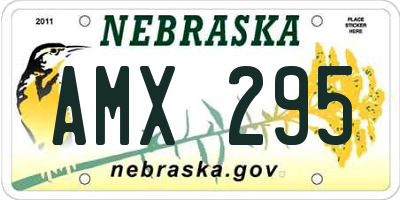 NE license plate AMX295