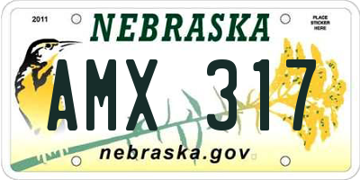 NE license plate AMX317