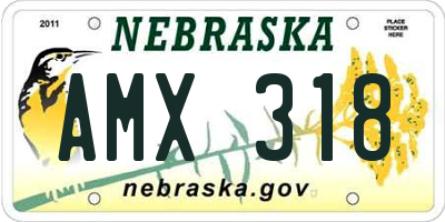 NE license plate AMX318