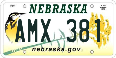 NE license plate AMX381