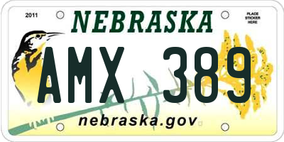 NE license plate AMX389