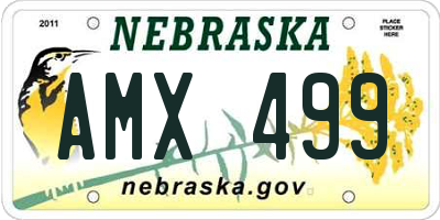 NE license plate AMX499