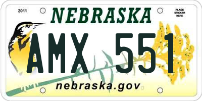 NE license plate AMX551