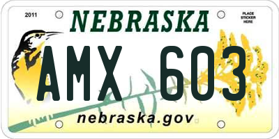 NE license plate AMX603