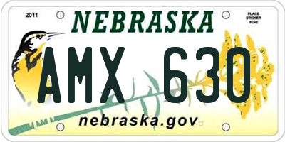 NE license plate AMX630