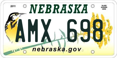 NE license plate AMX698
