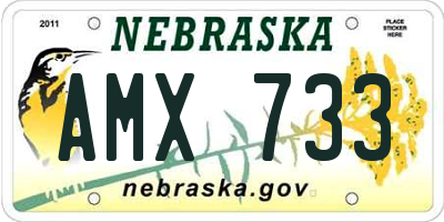 NE license plate AMX733