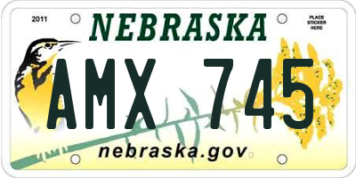 NE license plate AMX745