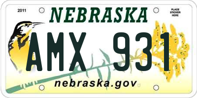 NE license plate AMX931