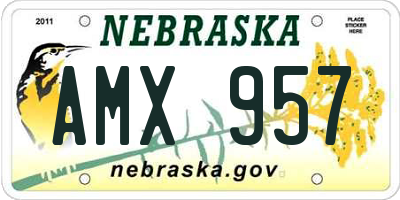 NE license plate AMX957