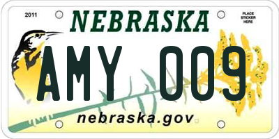 NE license plate AMY009