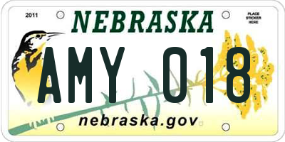 NE license plate AMY018