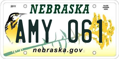 NE license plate AMY061