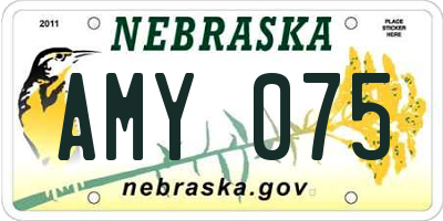 NE license plate AMY075