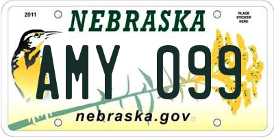 NE license plate AMY099
