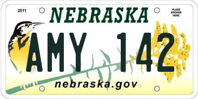 NE license plate AMY142