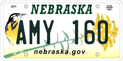 NE license plate AMY160