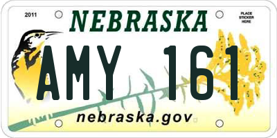 NE license plate AMY161