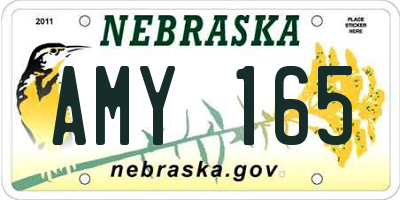 NE license plate AMY165