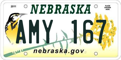 NE license plate AMY167