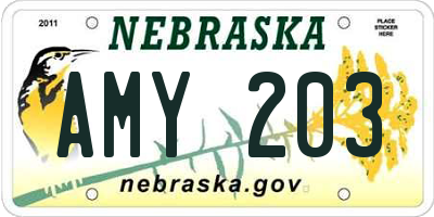 NE license plate AMY203