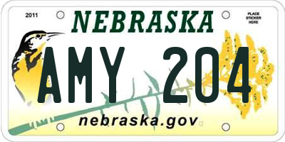 NE license plate AMY204