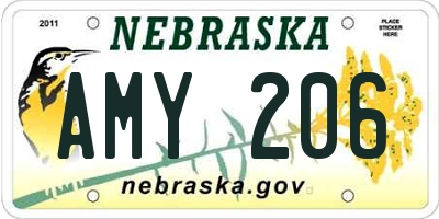 NE license plate AMY206