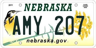 NE license plate AMY207
