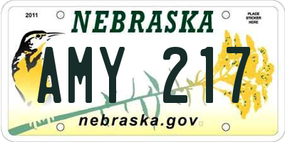 NE license plate AMY217
