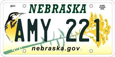 NE license plate AMY221