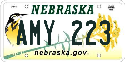 NE license plate AMY223