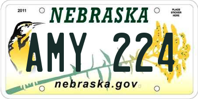NE license plate AMY224