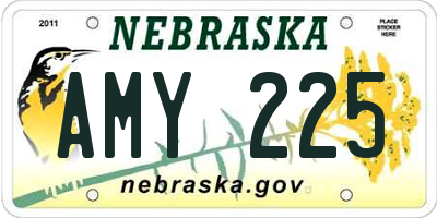 NE license plate AMY225