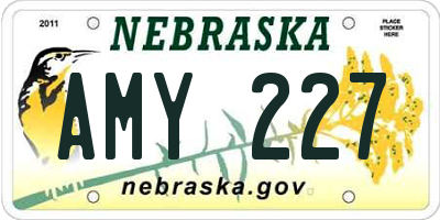 NE license plate AMY227