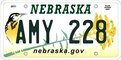 NE license plate AMY228