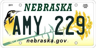 NE license plate AMY229