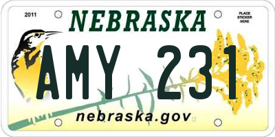 NE license plate AMY231