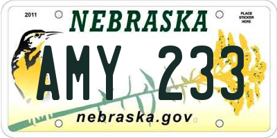 NE license plate AMY233