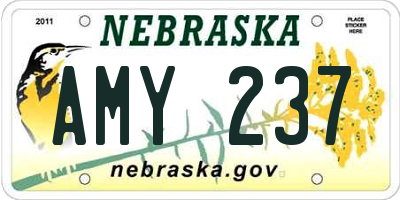 NE license plate AMY237