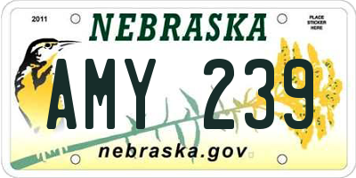 NE license plate AMY239