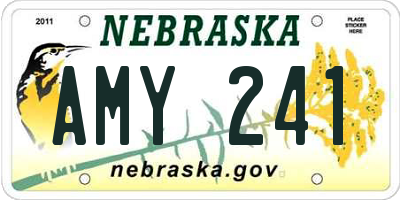 NE license plate AMY241