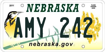 NE license plate AMY242