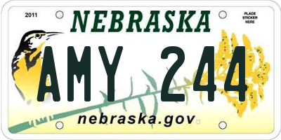 NE license plate AMY244