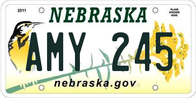NE license plate AMY245