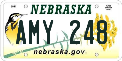 NE license plate AMY248